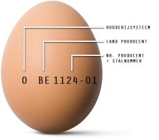 Wat staat er op een ei?